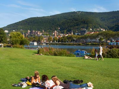 The  Neckarwiese