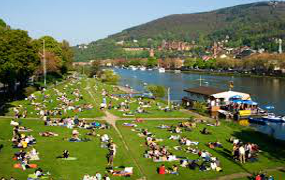neckarwiese