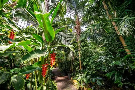 botanischer-garten-der-universitat